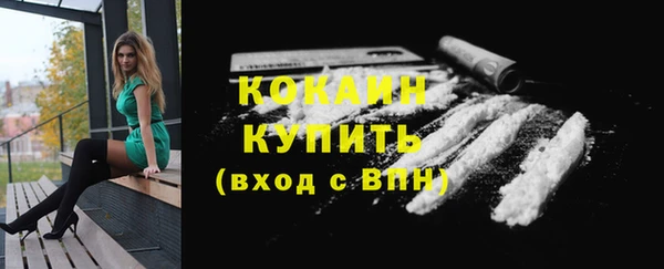 дживик Абинск