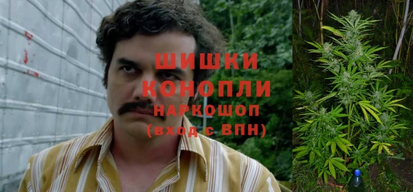 прущий лед Абаза