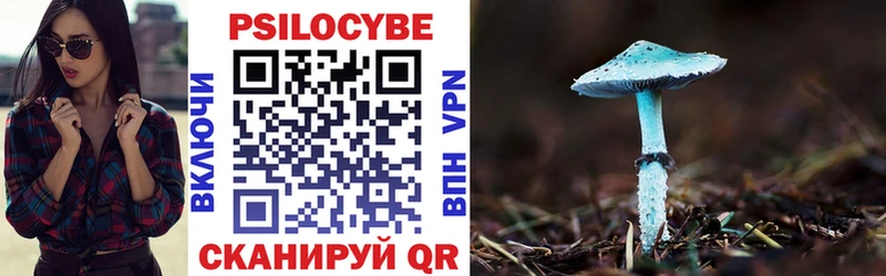 сколько стоит  Петров Вал  Псилоцибиновые грибы GOLDEN TEACHER 